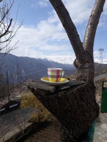 Фотографии Гостевой дом Igor Bed and Breakfast г. Алидзор (Армения) №4 Фото Гостевой дом Igor Bed and Breakfast г. Алидзор 4
