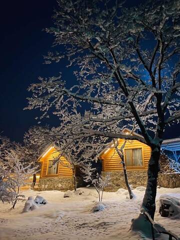 Фото номера Четырехместный номер &quot;Комфорт&quot; Отель Harsnadzor Eco Resort г. Алидзор 2